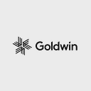 GOLDWIN INC logo