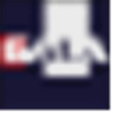 FJ NEXT HOLDINGS CO LTD logo