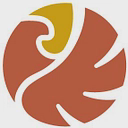 AMERICAN EAGLE GOLD CORP logo