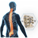 Bone Biologics Corporation logo