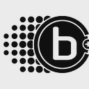 BRAILLE ENERGY SYSTEMS INC logo