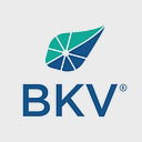 BKV Corporation logo