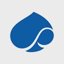 Capgemini SE logo