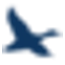 Chesapeake Financial Shares, Inc. logo