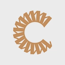 Data Storage Corporation logo