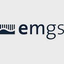 ELECTROMAGNETIC GEOSERVICES Logo