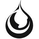 Epsilon Energy Ltd. logo