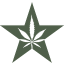 American Green, Inc. logo