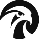 Falcon's Beyond Global, Inc. Wa logo
