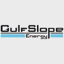 GulfSlope Energy, Inc logo
