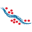 Laramide Resources Ltd. logo