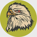 North Bay Resources Inc. logo