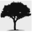 NULEGACY GOLD COPORATION logo