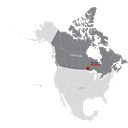 Pan American Energy Corp. logo