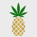 Pineapple, Inc. logo