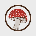 PsychWellness logo