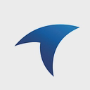 RAMINFO LIMITED logo