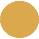 TOREX GOLD RESOURCES INC Logo
