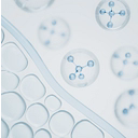 Viking Therapeutics, Inc. logo
